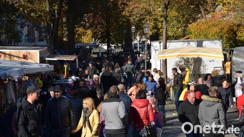 Am Nachmittag drängten sich die Besucher durch die aufgebauten Stände am oberen Markt. Bild: dob