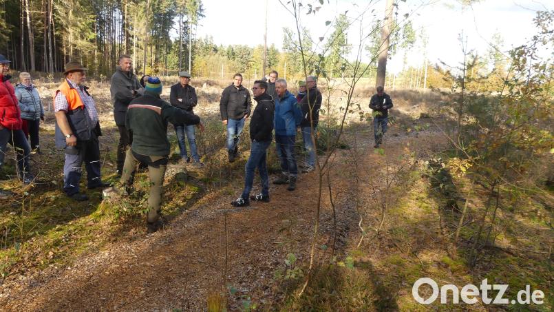 Auf dieser gut zwei Hektar großen Kahlschlagfläche kündigt Martin Gottsche das Pflanzen von Schwarzerlen und Moorbirken an. Bild: rn