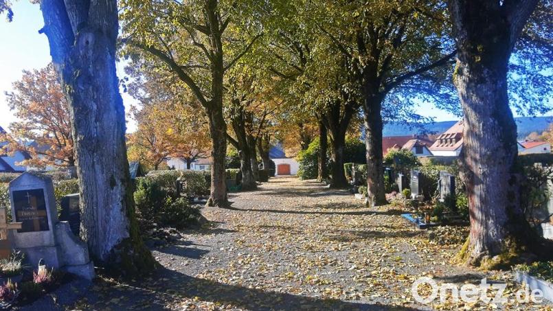 Ein wertvoller Ort für Mensch und Natur ist der Friedhof in Brand. Doch dies hat auch seinen Preis. Bild: ld