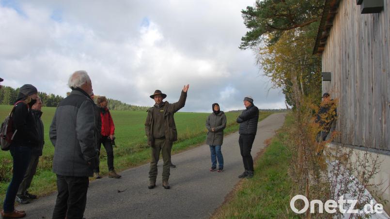 150 Nistkästen hat die Gemeinde Ursensollen an Bürger ausgegeben. Bild: gsp