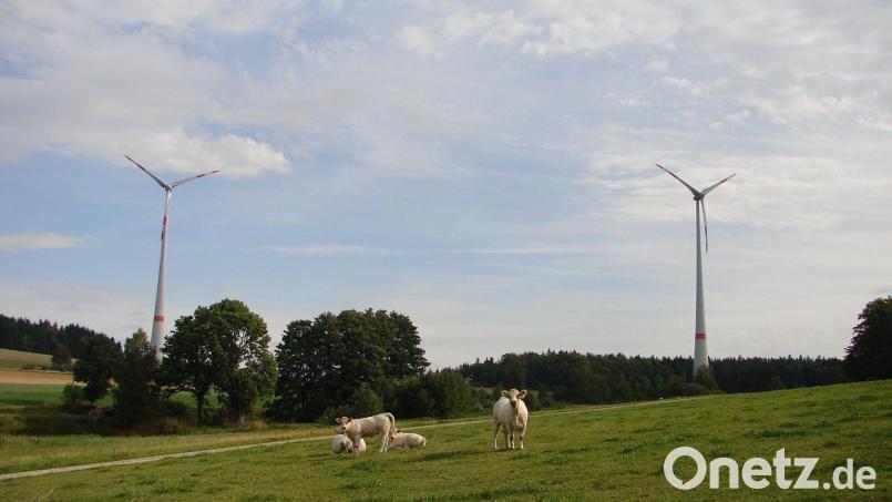 Gibt es in Etzenricht die Möglichkeit, Windräder zu bauen? Der Gemeinderat will das prüfen. Symbolbild: upl