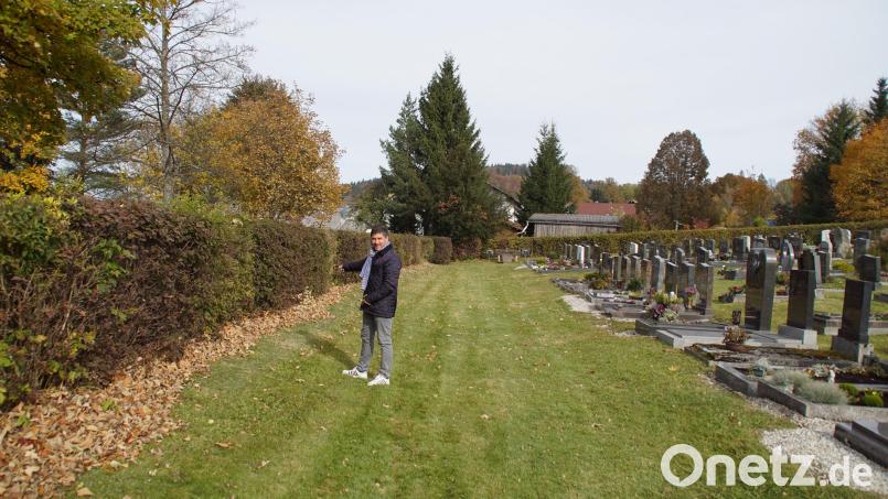 Entlang der Hecke vor der Friedhofsmauer zur Hauptstraße zeigt Bürgermeister Gerald Reiter den Ort, an dem aktuell acht Urnengräber geplant sind. Bild: mmj
