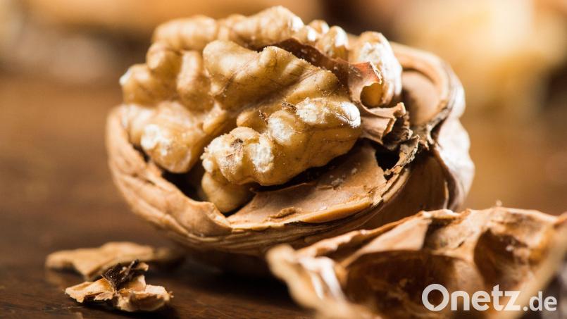 Ursensollen und Hohenkemnath waren einst Nussdörfer. Die Gemeinde greift das Thema jetzt neu auf. Bild: Franziska Gabbert/dpa