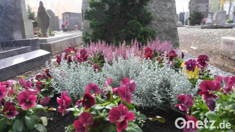 Gräbergänge stehen an Allerheiligen und Allerseelen auf dem Programm. Symbolbild: Gabi Schönberger