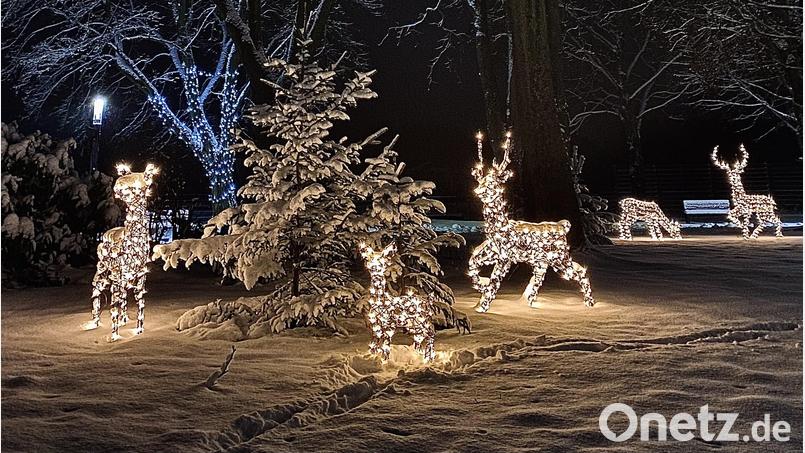 Das Adventspark-Konzept ist neu, die schon im Vorjahr aufgestellte &quot;Rentierfamilie&quot; wird aber auch heuer den Dietl-Park schmücken. Für ihren Christkindlmarkt der anderen Art hoffen Stadtverwaltung und Planungsteam auf viele Fieranten. Archivbild: bjp