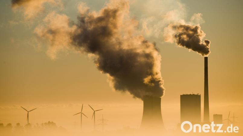 Der zukünftige Klimaschutzmanager von Weiden tritt seinen Posten später an. Bis dahin muss der Klimaschutz wohl noch warten. Symbolbild: Julian Stratenschulte/dpa