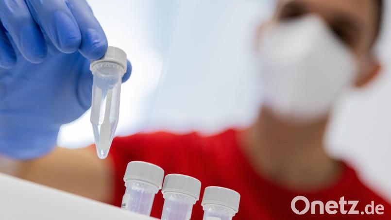 Ein Mitarbeiter stellt in einem Covid-19-Testzentrum einen Coronatest in ein Behältnis. Im Raum Amberg/Amberg-Sulzbach steigt die Gesamtzahl der positiven Testergebnisse weiterhin. Das Gesundheitsamt kann hier keine Entwarnung geben. Archivbild: Rolf Vennenbernd/dpa