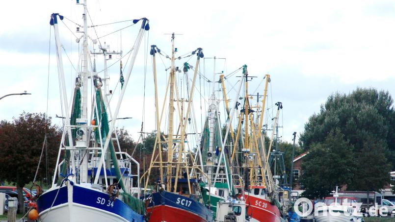Der Hafen von Büsum ist Heimat für rund 50 Krabbenkutter. Bild: Bernd F. Meier/dpa