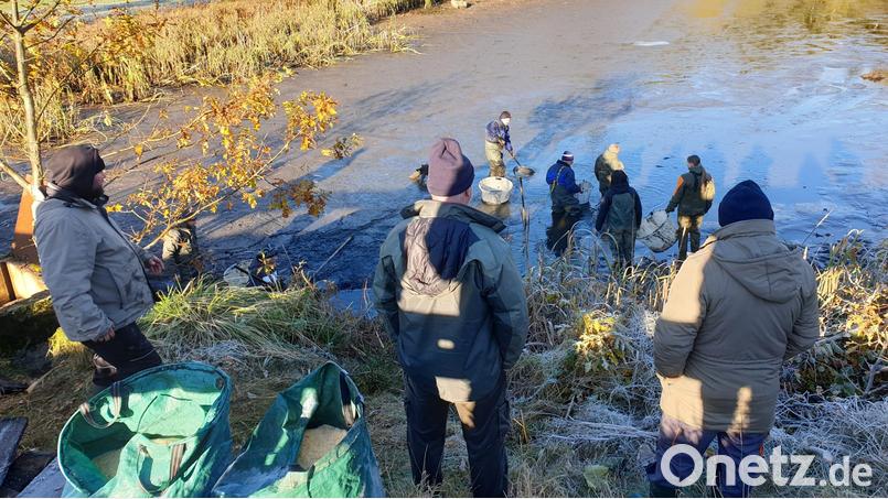 Die Mitglieder des Etzenrichter Fischereivereins Hegefischen in den Weihern der Trippacher Weiherkette. Bild: Adolf Küblböck/exb
