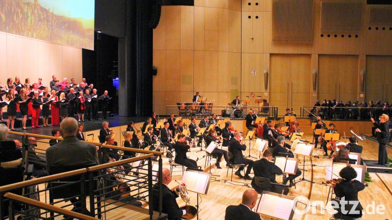 Singing Witt und die Hofer Symphoniker sorgten für Musikgenuss in der Max-Reger-Halle Bild: stg