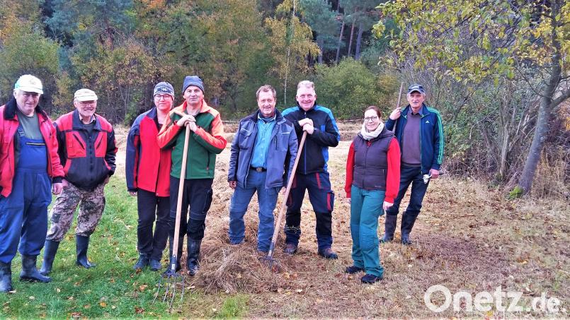 Die Waldvereins-Idealisten vom „Gabeltrupp“ übernehmen die Herbstputzarbeiten im Klingenbachtal. Bild: jml