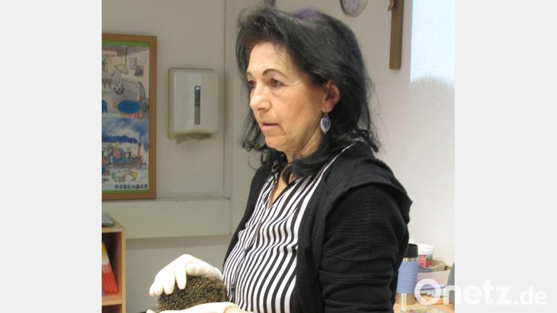 Erika Passon stellte einige der Igel vor, die sie zu Hause pflegt. Bild: bkr