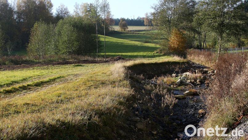 Die Arbeiten am Wiesaubach (unweit der Pechbrunner Straße) werden im kommenden Jahr fortgeführt, informierte Bürgermeister Braun in der Sitzung des Marktgemeinderates Fuchsmühl. Bild: wro