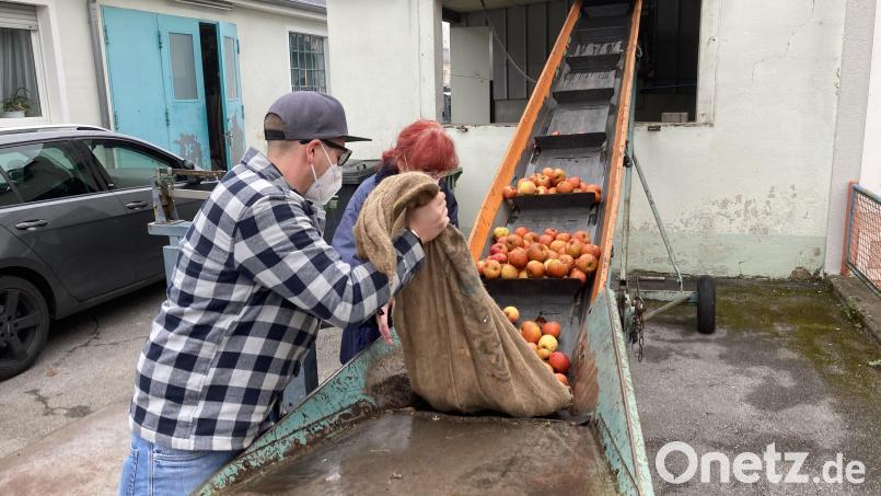 Hier ist die Apfelernte gut ausgefallen - eine Ausnahme in dieser Saison. Die schlechten Ergebnisse bekommt die Obstverwertung zu spüren. Bild: ige