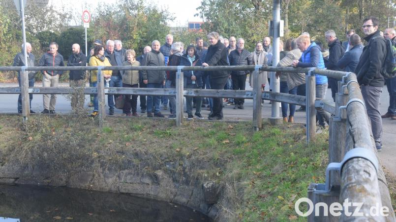 Viele Bürger interessieren sich und lassen sich am Dorfweiher erklären, wie man das Areal attraktiver gestalten könnte. Bild: fz