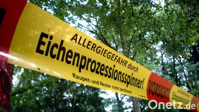 Mit Transparenten wird vom Eichenprozessionsspinner gewarnt. 2021 ist im Landkreis Schwandorf kein großer Befall bekannt, jedoch machte ein Ehepaar in Prackendorf eine schmerzhafte Erfahrung. Bild: td