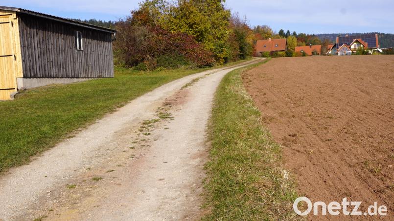 Vom Anwesen Porst führt der Sandlbauerweg nach Ahornberg. Die Heckenreihe auf der linken Seite nach der Scheune markiert die alte Sandlgasse. Bei der Sanierung der Gemeindeverbindungsstraße auf den Poppenberg soll sie für eine offene Entwässerung der Straße dienen. Bild: bkr