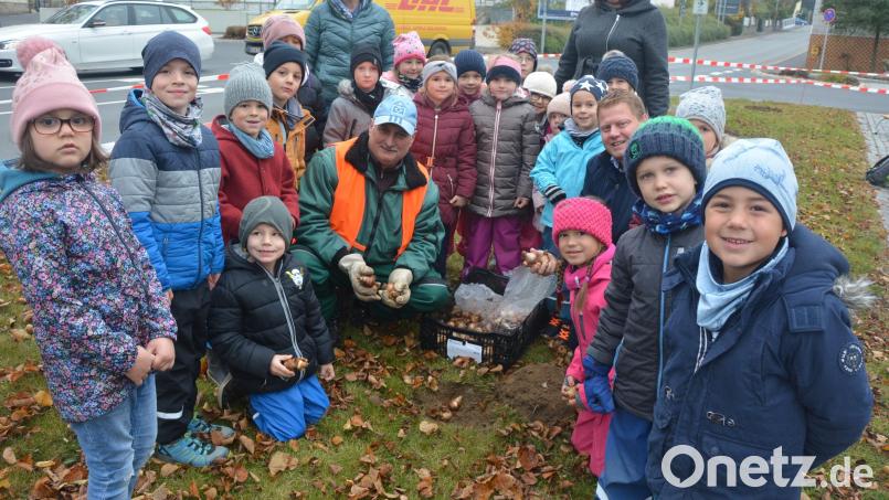Hautnah waren Stadtgärtner Willi Kilian und Bürgermeister Stefan Grillmeier bei der Pflanzaktion mit den Vorschulkindern des Städtischen Kinderhauses mit dabei. Gemeinsam wurden Blumenzwiebeln in die Erde gesteckt, damit es im kommenden Jahr in Mitterteich grünt und blüht. Bild: jr