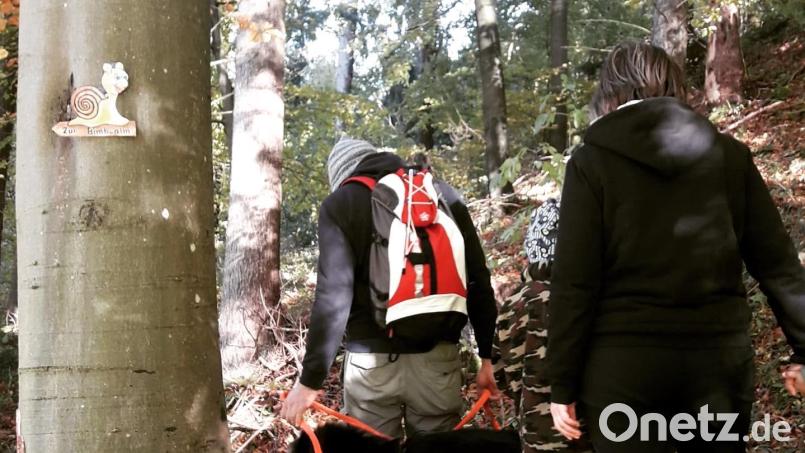 Kreative Bilder auf Holz von Hobbykünstler Karlheinz „Schneck“ Neidel weisen Wanderern den Weg von Achtel nach Eschenfelden. Bild: lei