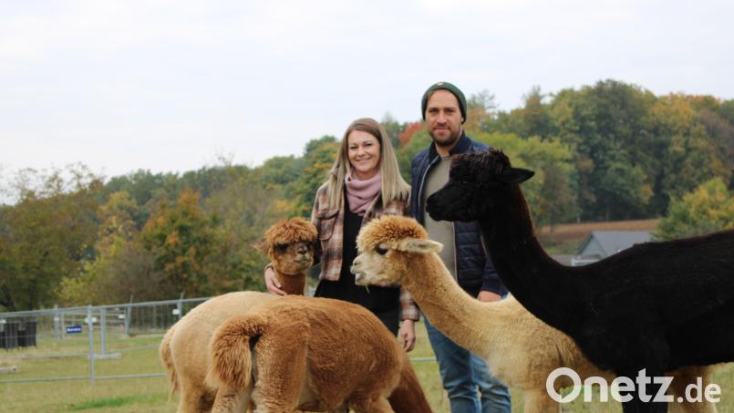 Vor vier Jahren haben sich Anita und Mike Spangler in Alpakas verliebt. Inzwischen haben sie einen Alpakahof Am Büchsenham in Raigering und neuerdings auch einen kleinen Hofladen mit den hochwertigen Alpaka-Produkten. Bild: ads