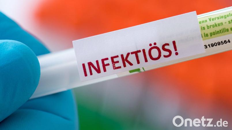 Proben für Corona-Tests werden für die weitere Untersuchung vorbereitet: Am Freitag gab es im Landkreis Tirschenreuth 43 positive Coronatests. Symbolbild: Hendrik Schmidt/dpa