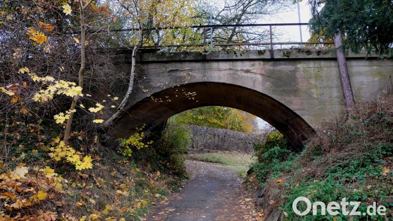 Die große und kleine Bahnbrücke der früheren Bahnlinie Floß – Flossenbürg gehören längst zu den Baudenkmälern im Markt. Sie sollen in den Spanzierweg in das historische Floß mit einbezogen werden. Bild: le