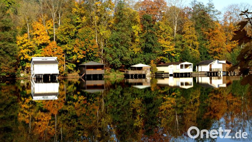 So schön kann der Herbst sein: Am Rußweiher gibt es ein leuchtendes Farbenmeer zu bestaunen. Bild: do