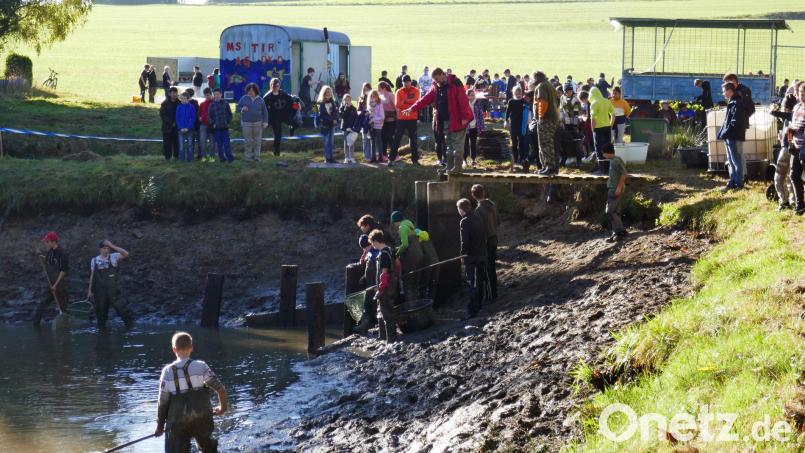 Gespannt warteten die gut ausgerüsteten Schüler auf die Fische. Bild: Joachim Kruppa/exb