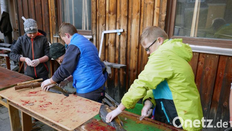 Routiniert wurden die Karpfen geschlachtet und ausgenommen. Bild: Joachim Kruppa/exb