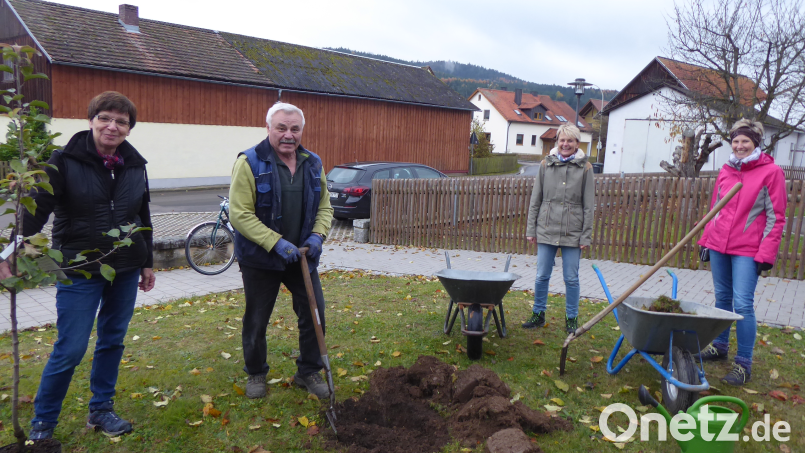 Die Vorstandsmitglieder Stilla Schierdewahn, Hans Köppl, Petra Scharf und Sandra Schiesl (von links) pflanzen vor der Schule einen Apfelbaum. Bild: Angelika Lang-Salzl/exb