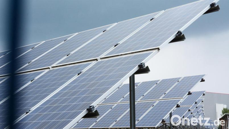 Die Planungen für den Solarpark Pfaffenreuth gehen in die nächste Phase. Es gibt kaum Einwände. Nur die Forderung, den Zaun drumherum wolfssicher zu gestalten. Bild: Gabi Schönberger