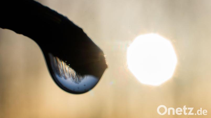 Ein Tropfen Wasser. Bild: Julian Stratenschulte