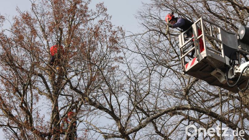 In einer Höhe bis zu 18 Meter gehen die Arbeiten über die Bühne, auch mithilfe eines Krans. Bild: pi