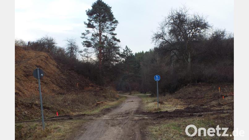 Die Vorarbeiten für das Kümmersbrucker Jahrhundertbauwerk Westumfahrung gehen im Abschnitt zwischen Lengenfeld und Theuern zügig voran. Mit etwas Phantasie kann man sich jetzt schon vorstellen, wie die dort vorgesehene erste Brücke verlaufen wird. Bild: e