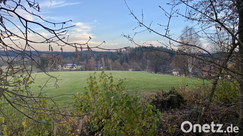 Eine Grünfläche zwischen Lanzer Weg und Püchersreuther Straße soll Baugebiet für maximal 20 Grundstücke werden. Bild: Eichl