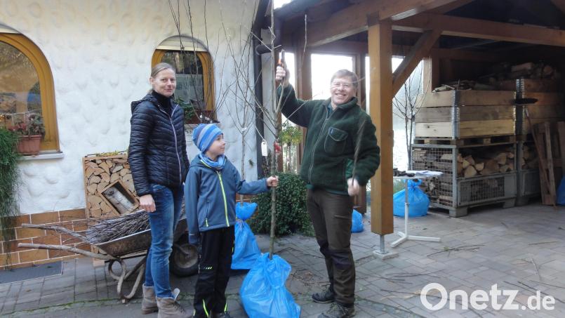 Alle Hände voll zu tun hatten die Mitglieder des Obst- und Gartenbauvereins, um die zahlreichen Bestellungen anzunehmen sowie die Ware nach der Lieferung zu sortieren und für die Abnehmer zusammenzustellen. Bild: jhö