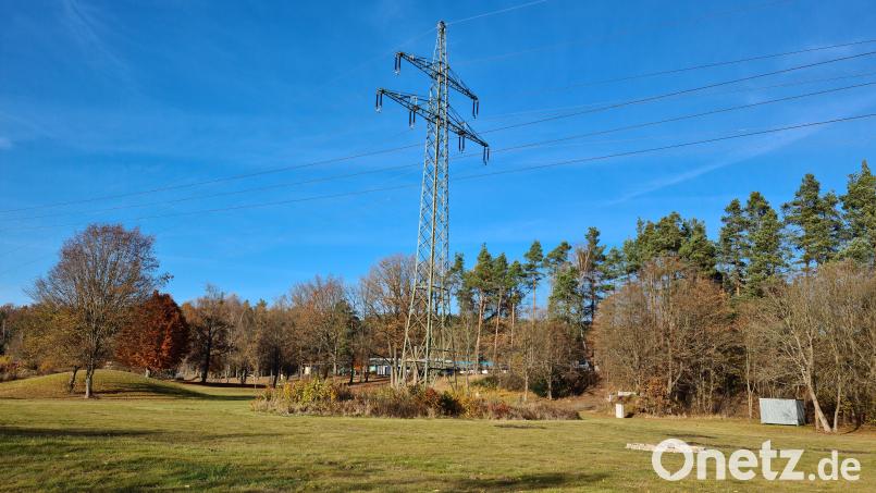 Der Mast 55 steht mitten im Waldbad und soll im Zuge der Maßnahmen ersetzt werden. Bild: sne