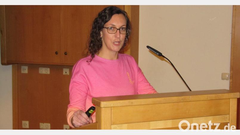 Die Geschäftsführerin der AOVE, Katja Stiegler, stellte dem Hirschauer Stadtrat die Angebote der Organisation vor. Bild: fg