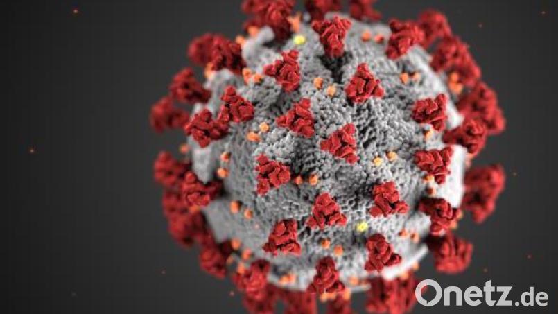 Sars-CoV-2 ist tödlicher als Influenza-Viren. Bild: Centers for Disease Control and Prevention illustration