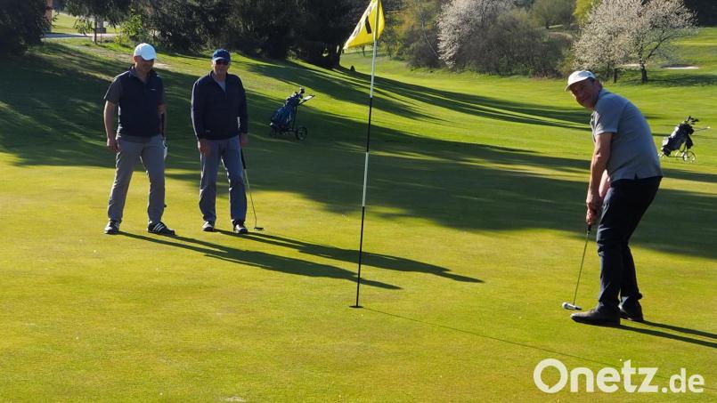 Ohne Rasen geht es nicht, aber der Golfplatz in Ödengrub bei Neunburg hat schon seit längerem Flächen für Wildblumen und Obstbäume (im Hintergrund) reserviert. Archivbild: Monika Bugl