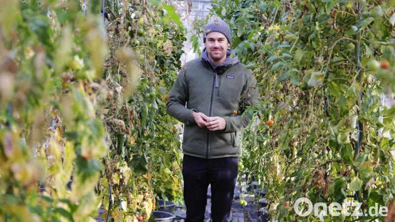 Der Neustädter Adrian Kuhlemann ist Restaurantbesitzer und Koch. Er arbeitet mit regionalen Zutaten, einige baut er auf dem Gelände einer Gärtnerei in Altenstadt selbst an. Bild: Thimo Kriegbaum