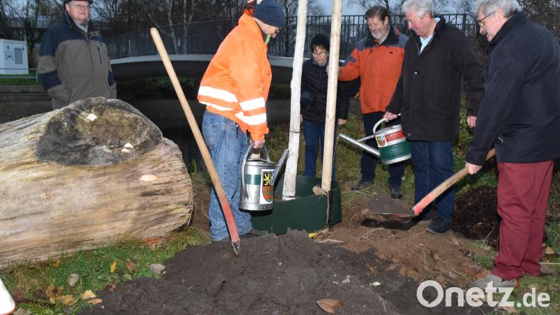Bruno Wrana (rechts) spendete anlässlich seines 60. Geburtstags eine Hängeweide für das Stadtbad. Bild: hcz