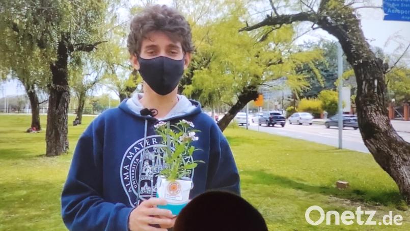 Blumenverkauf an Straßenkreuzungen in Brasilien. Bild: Dr. Annemarie Schraml/Fokolarbewegung/exb