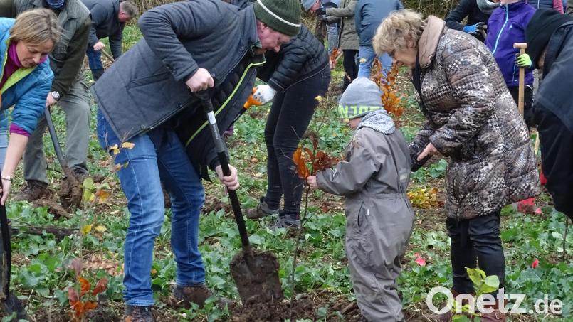 An einer Straße von Ensdorf nach Schwandorf pflanzten die Teilnehmer über 500 Laubbäume. Bild: Houschka
