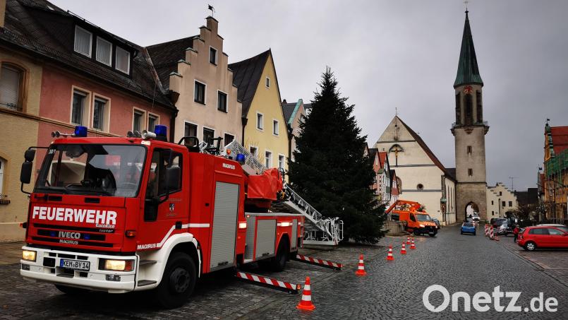 Kräfte der Feuerwehr Kemnath und des städtischen Bauhofs legten am Donnerstagvormittag die Lichterketten am Weihnachtsbaum auf dem Stadtplatz an. Stadtgärtner Florian Frank sorgte für den Zuschnitt der Laubbäume mit einem Hubsteiger (siehe im Hintergrund), damit die Lichternetze angebracht werden können. Bild: mde