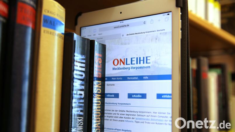 Wer seinen Lesehunger über das Online-Angebot öffentlicher Bibliotheken, die sogenannten „Onleihen“, stillt, braucht Geduld. Symbolbild: Bernd Wüstneck/dpa