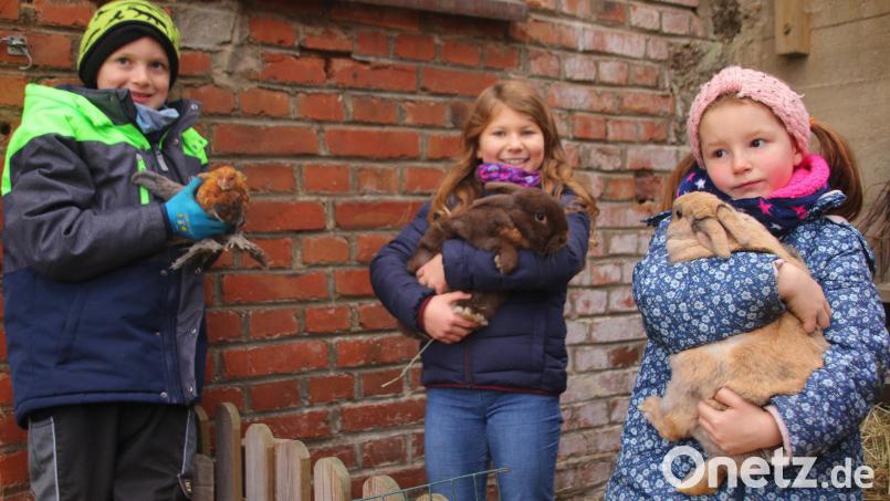 Tiere zum Anfassen: Max (von links) präsentiert ein federfüßiges Zwerghuhn, Lea und Melina die Zwergkaninchen Timo und Rosi. Bild: fvo