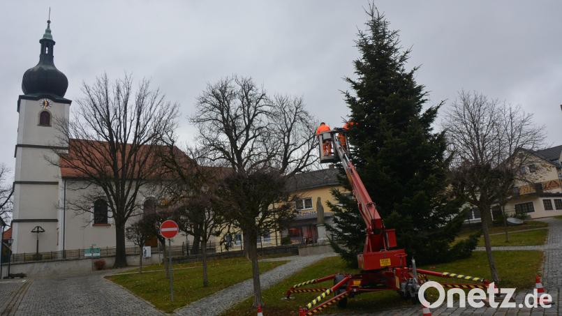 Unweit des Resl-Hauses wurde diese mächtige rund 15 Meter lange Tanne am Mittwoch als Christbaum aufgestellt. Bauhofmitarbeiter brachten mit Hilfe eines Steigers den Lichterschmuck an. Am ersten Adventswochenende wird er erstmals im Lichterglanz erstrahlen. Bild: jr