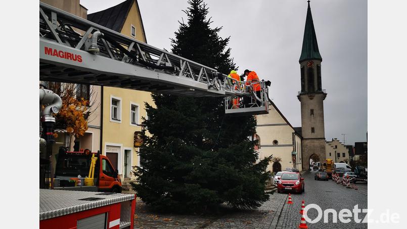 Ein Trupp der Feuerwehr Kemnath mit der Drehleiter und Mitarbeiter des städtischen Bauhofs sorgten am Donnerstagvormittag dafür, dass zur Weihnachtszeit die Lichter am Weihnachtsbaum erstrahlen können. Bild: mde