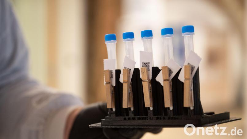 467 Mal wurde zwischen dem 9. und 15. November bei Bürgern aus dem Landkreis Neustadt/WN das Coronavirus nachgewiesen. Symbolbild: Marijan Murat